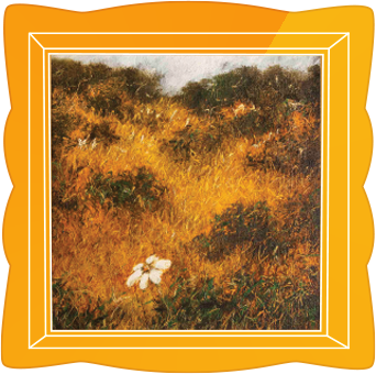 Painting of a golden grassland with small white flowers